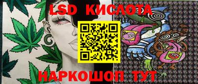 гашик Славгород