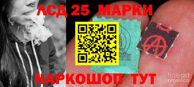 гашик Славгород
