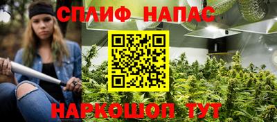 гашик Славгород