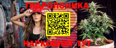 гашик Славгород