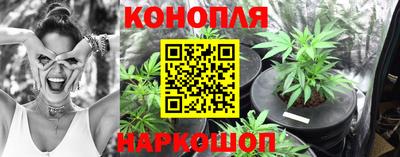 гашик Славгород
