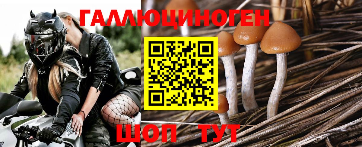 Галлюциногенные грибы прущие грибы  Вход с VPN  Галлюциногенные грибы ЛСД  Сарапул 