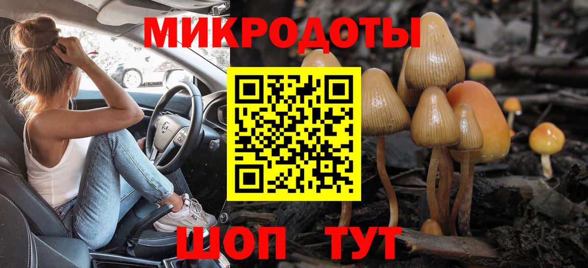 Галлюциногенные грибы Psilocybe Сарапул